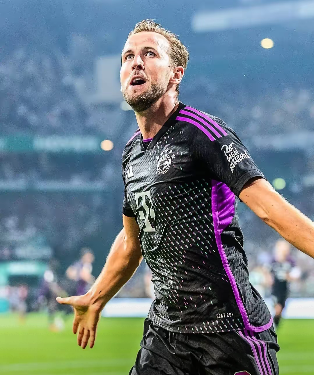 Kaiyun Sports关于凯恩迎来十二赛季出色发挥，皇家马德里观众热烈欢呼！的信息